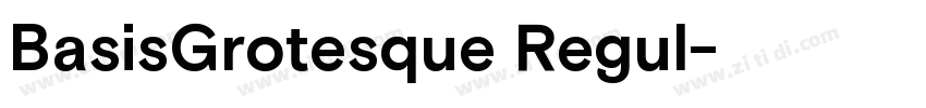 BasisGrotesque Regul字体转换 BasisGrotesque Regul字体转换